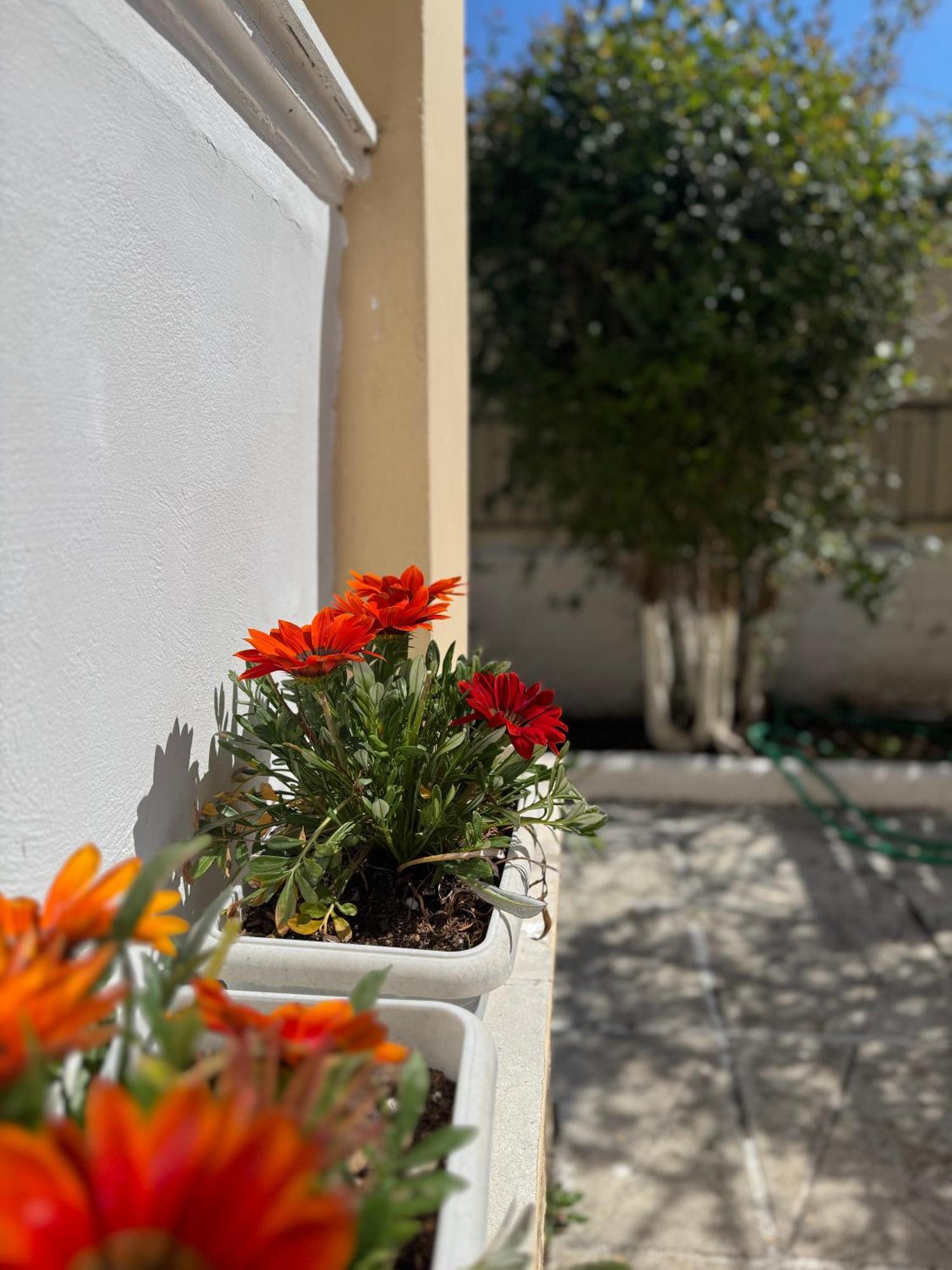 Corfu-Apartments4You Αχαράβη Εξωτερικό φωτογραφία